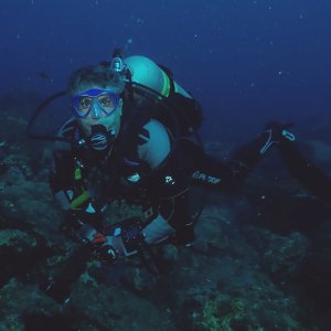Cajun Diver
