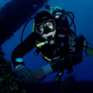 DeepGeek