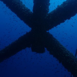 X marks the fish