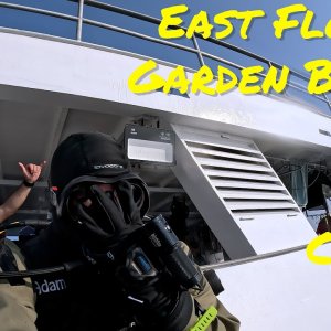 Scuba Diving East Flower Garden Banks! May, 2023