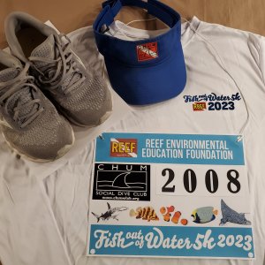 Fish Out Of Water 5k.jpg