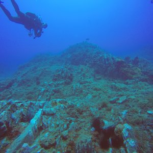 Cajun Diver on Stetson.JPG