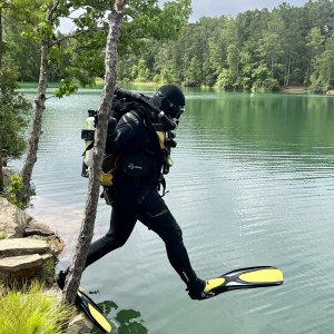 DeepGeek strides giantly