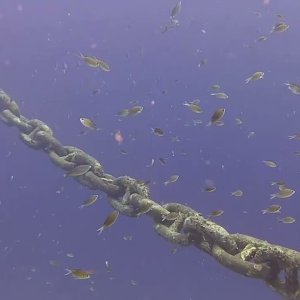 Boca Sami - Fish on the chain