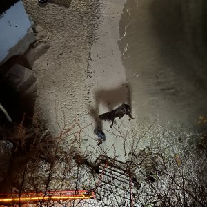 40 - Horse on Bahia Beach.JPG