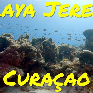 Diving "Playa Jeremi" in Curaçao