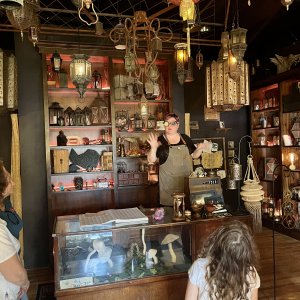 The curiosity shop