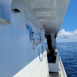 Fling with Texas Caribbean mural on starboard side