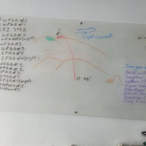 Trip dives