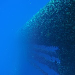 Into the abyss