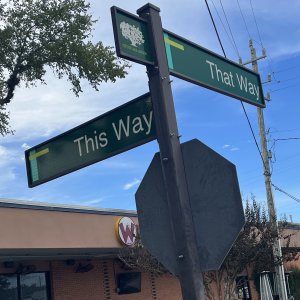 Decisions decisions…