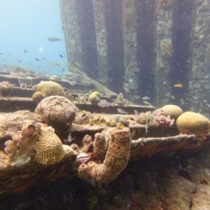 Fishies around some column structure