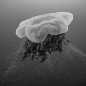 Nature beats imagination