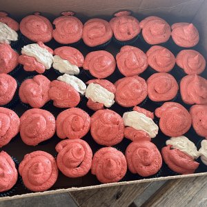 Best cupcakes ever