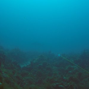 18 - not biting today.JPG