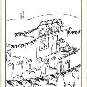 Cartoon by Gary Larson to kick off the trip media gallery