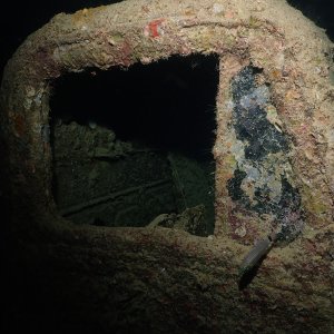 rear view fish