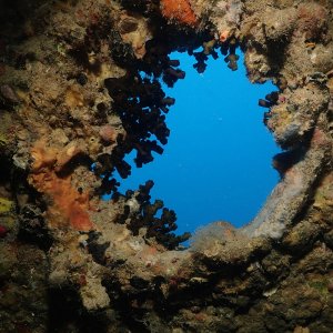 Window to the world