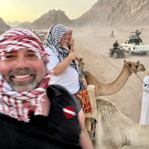 Camel tribe
