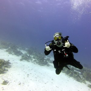 VikingDiver at Gordon Reef