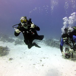 VikingDiver and Sushi Boy at Gordon Reef