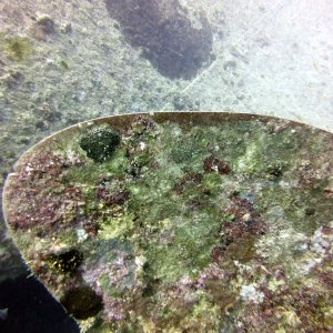 Propeller blade on the Thistlegorm
