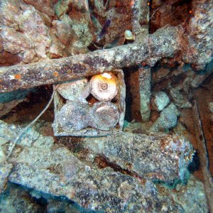 Munitions shells on the Thistlegorm