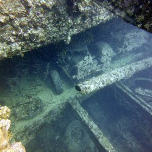 View of the trucks from the top deck
