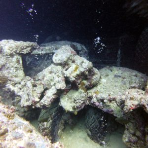 Trucks on the Thistlegorm
