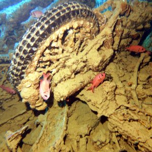Motorcycles on the Thistlegorm