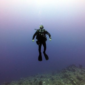 VikingDiver on Shark Reef
