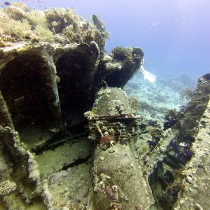 Bathtubs at Shark Reef