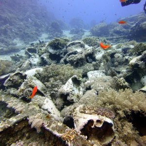 Anyone need a toilet?