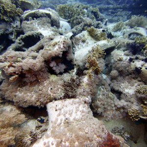 There's plenty of toilets