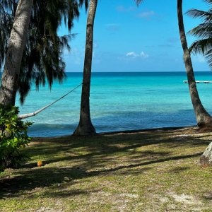 Beach Bungalow #5 - Lagoon View