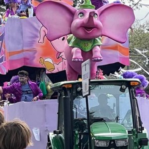Mardi Gras madness