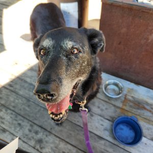 Friday lunch at Muck and Fuss