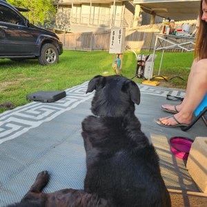 Deepbubbles chilling at the RV with Ellie