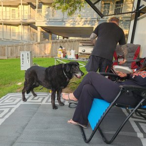 Deepbubbles has Ellie's undivided attention