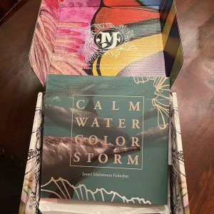 11 - Janavi Folmsbee book