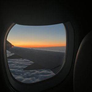 Homeward bound