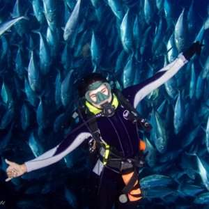 Celina and the Trevally Bait Ball