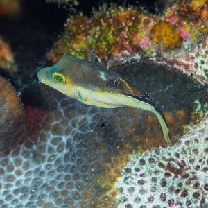 Smaller than you think