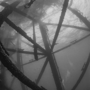 underwater jungle gym