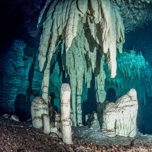 Where's the Water.jpg