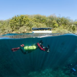 Split the Meadow.jpg