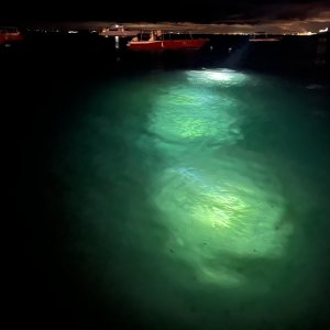 Night dive as seen from Bikini Bar