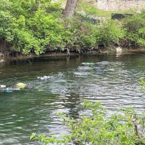 Chum Claims the Comal