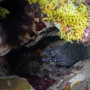 F05A2852.jpg