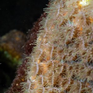 F05A2866-2.jpg